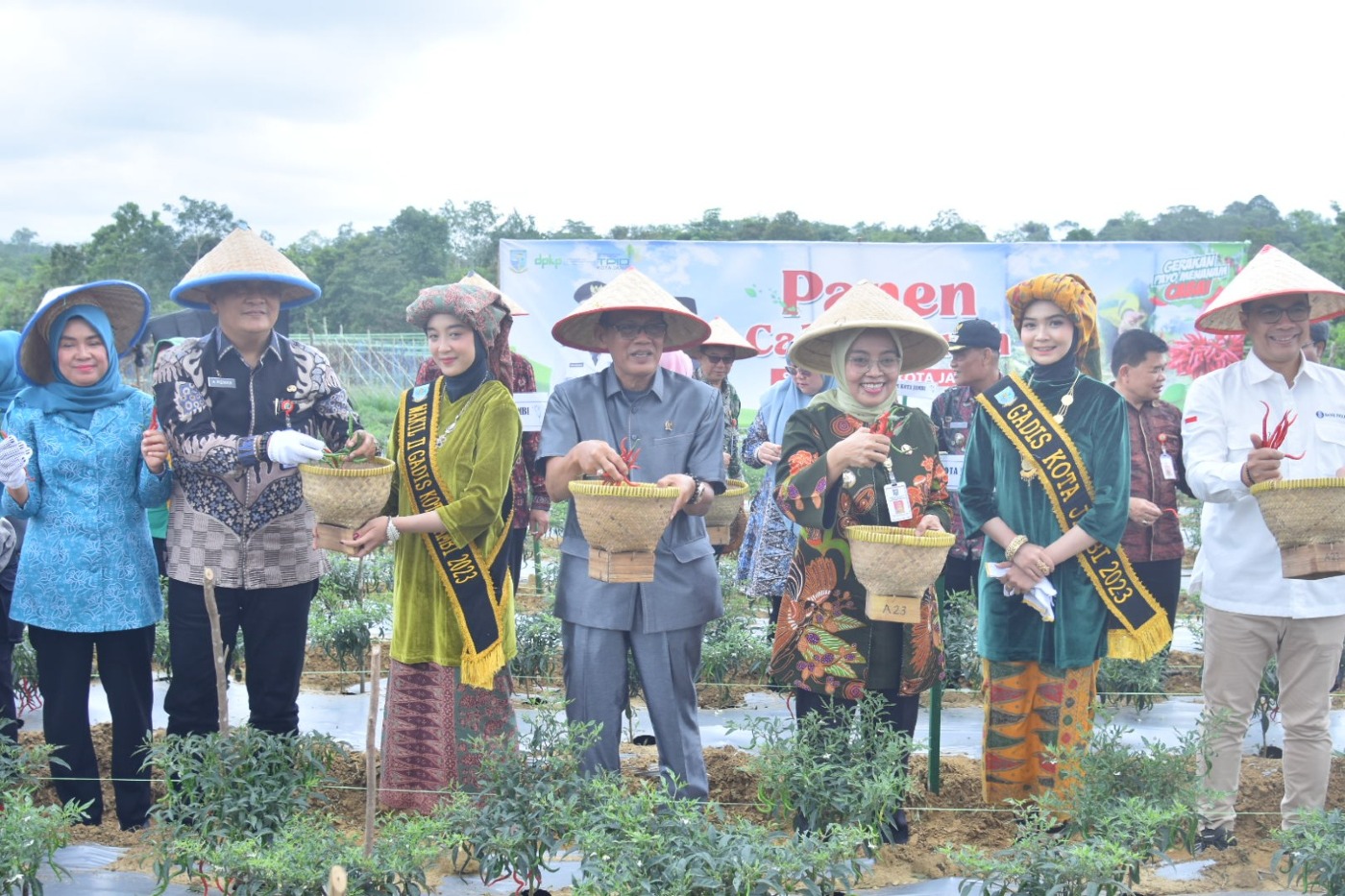 cover Langkah Kongkrit, Pj Wali Kota Jambi Panen Cabe Merah Siaga Inflasi