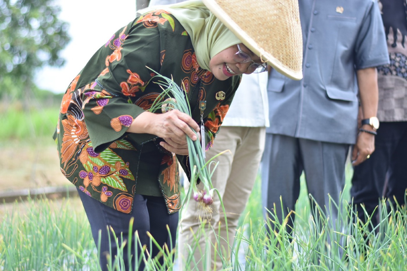 cover Langkah Kongkrit, Pj Wali Kota Jambi Panen Cabe Merah Siaga Inflasi